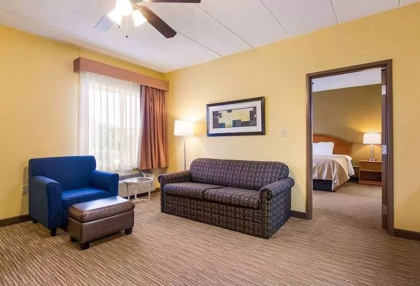 ホテル Quality Inn & Suites Cvg Airport