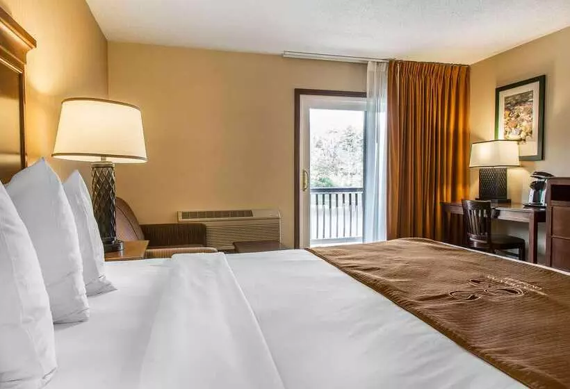 The Black Swan Lee   Lenox, Ascend Hotel Collection