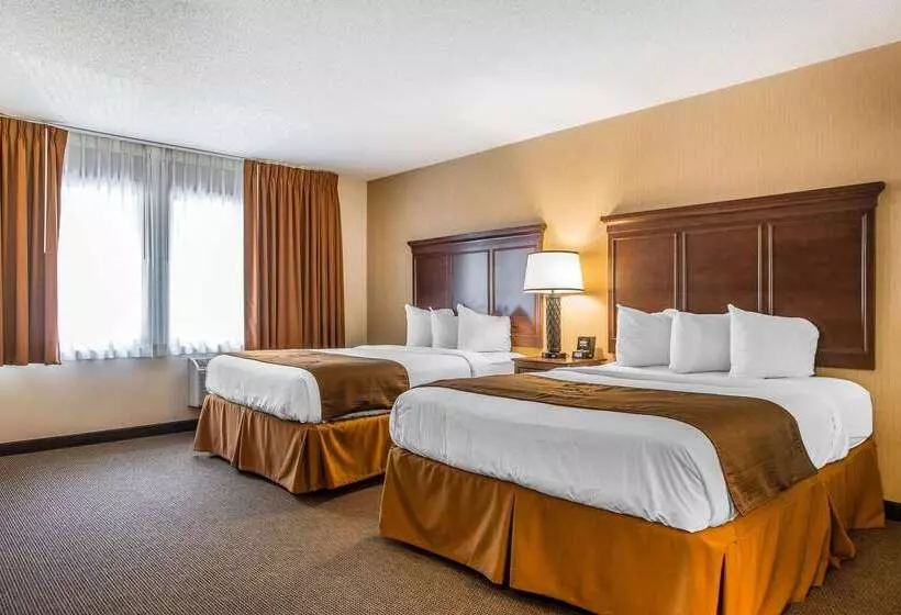 The Black Swan Lee   Lenox, Ascend Hotel Collection