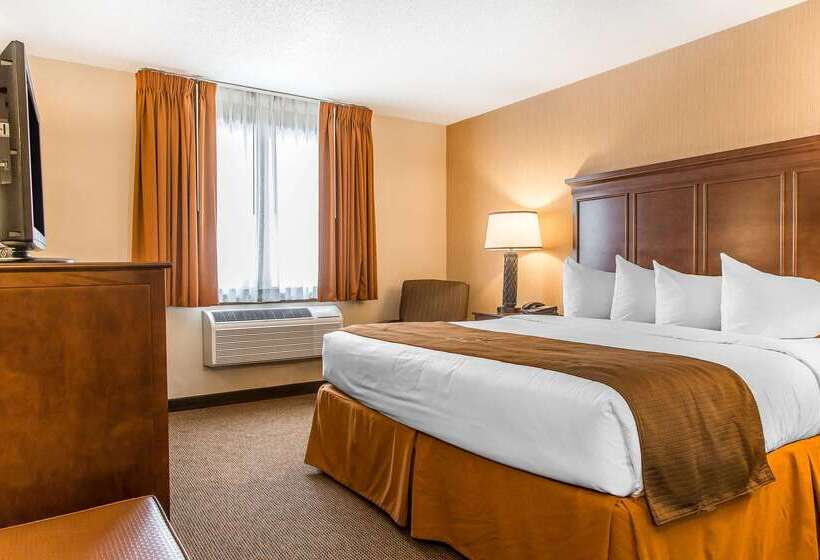 The Black Swan Lee   Lenox, Ascend Hotel Collection