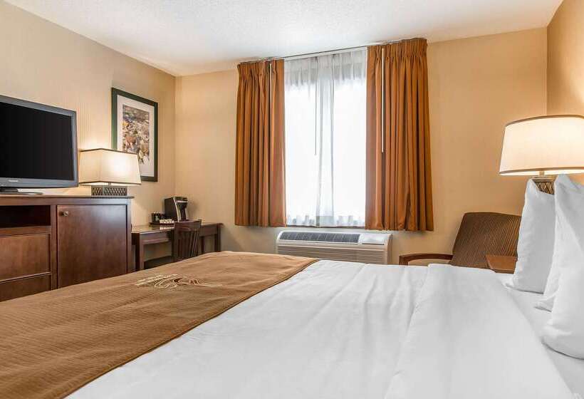 The Black Swan Lee   Lenox, Ascend Hotel Collection