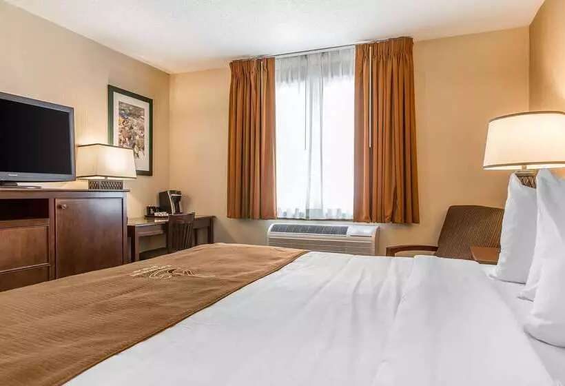 The Black Swan Lee   Lenox, Ascend Hotel Collection