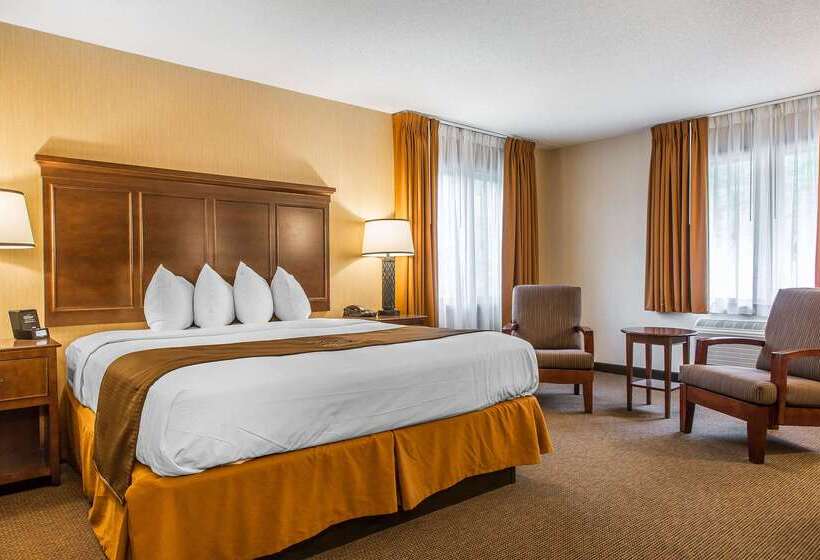 The Black Swan Lee   Lenox, Ascend Hotel Collection