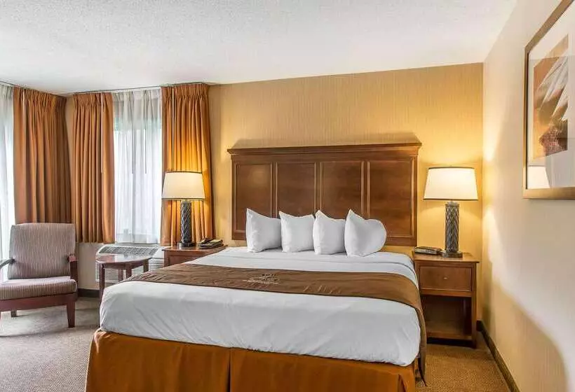 The Black Swan Lee   Lenox, Ascend Hotel Collection