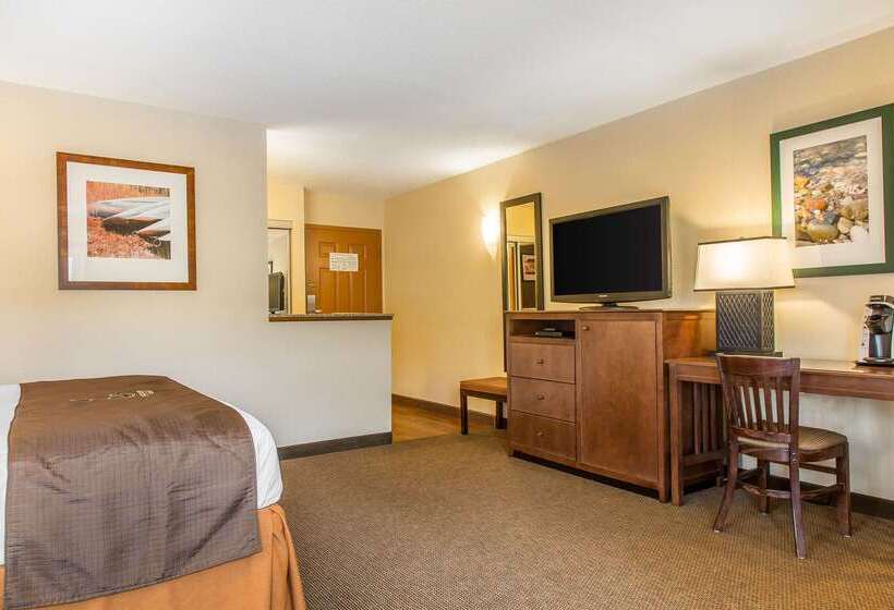 The Black Swan Lee   Lenox, Ascend Hotel Collection