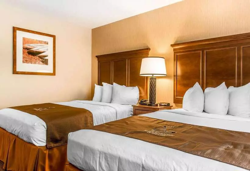 The Black Swan Lee   Lenox, Ascend Hotel Collection