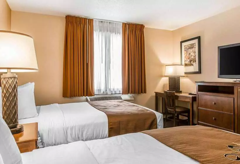 The Black Swan Lee   Lenox, Ascend Hotel Collection