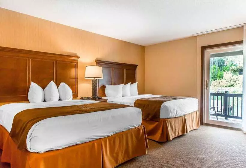 The Black Swan Lee   Lenox, Ascend Hotel Collection