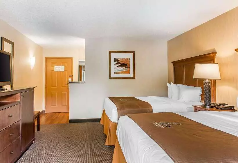 The Black Swan Lee   Lenox, Ascend Hotel Collection