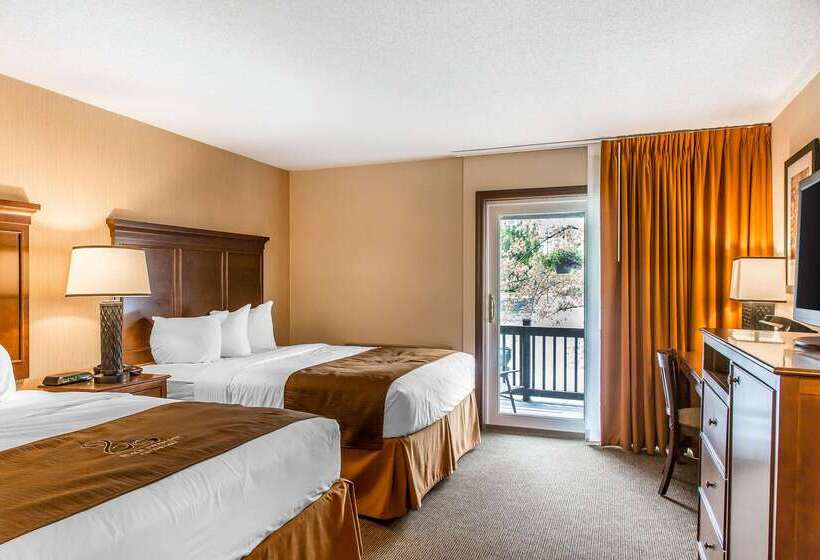 The Black Swan Lee   Lenox, Ascend Hotel Collection