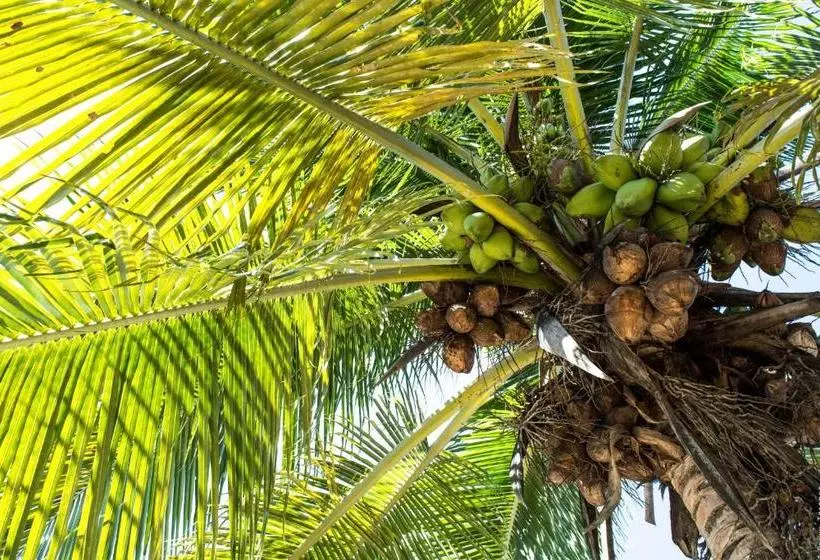 هاستل Horse Cottage