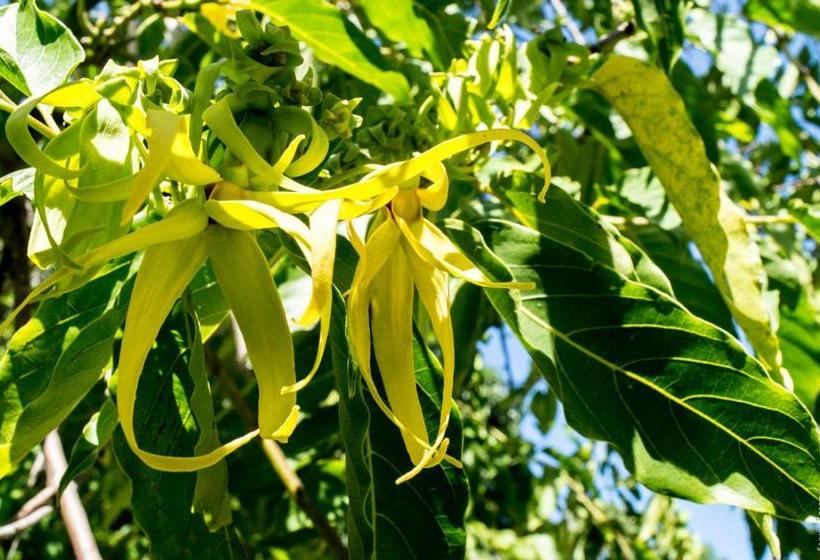 هاستل Horse Cottage