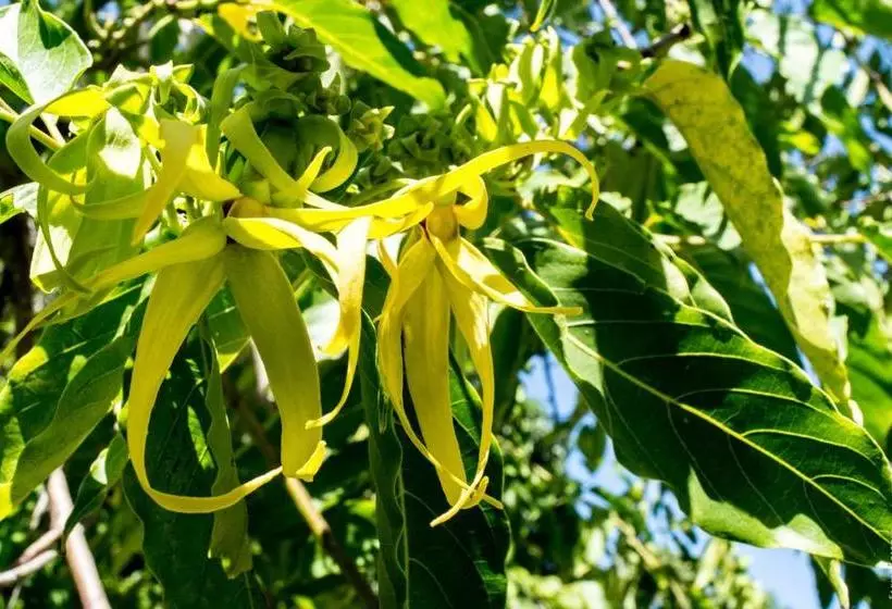 هاستل Horse Cottage