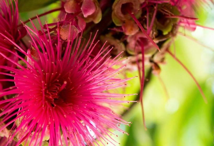 هاستل Horse Cottage