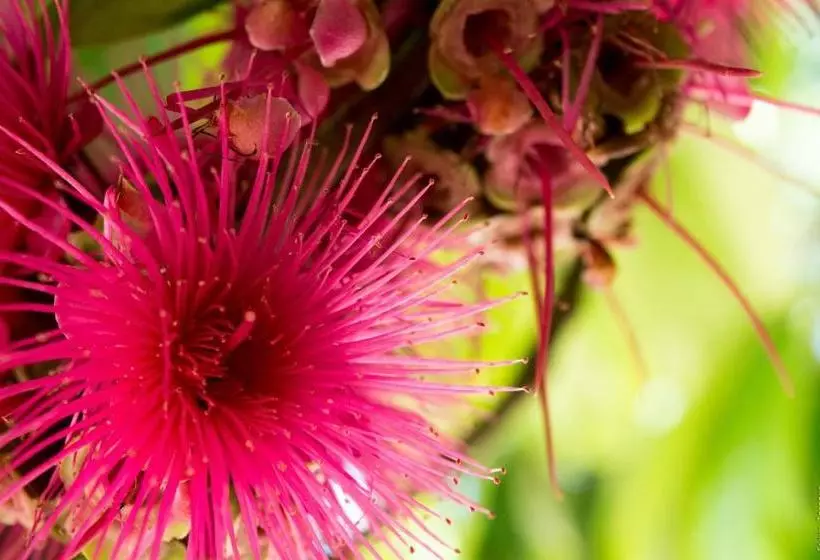 هاستل Horse Cottage