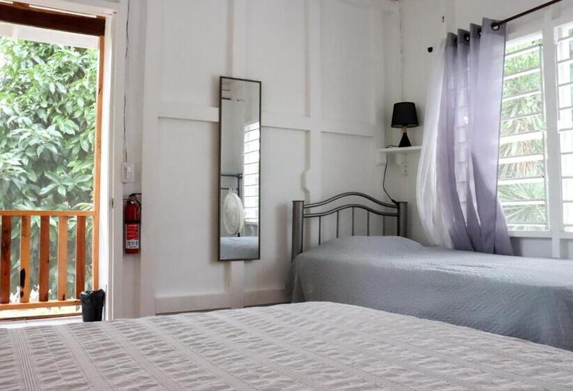 هاستل Horse Cottage