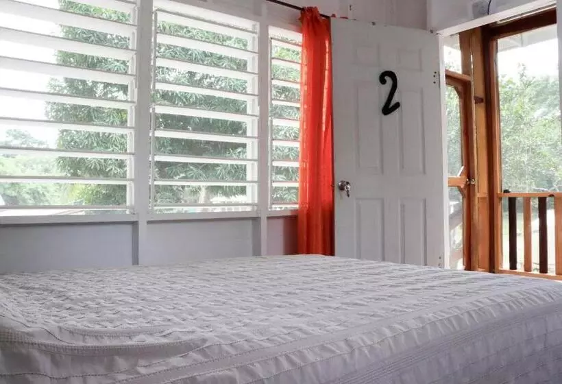 هاستل Horse Cottage