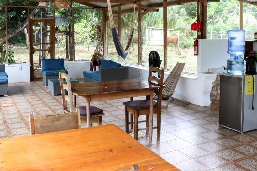 هاستل Horse Cottage