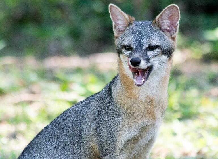 هاستل Horse Cottage