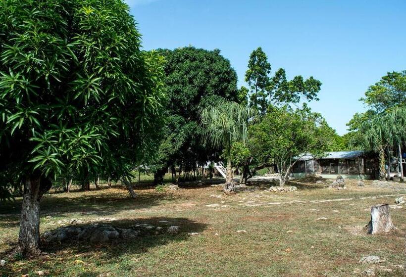 هاستل Horse Cottage