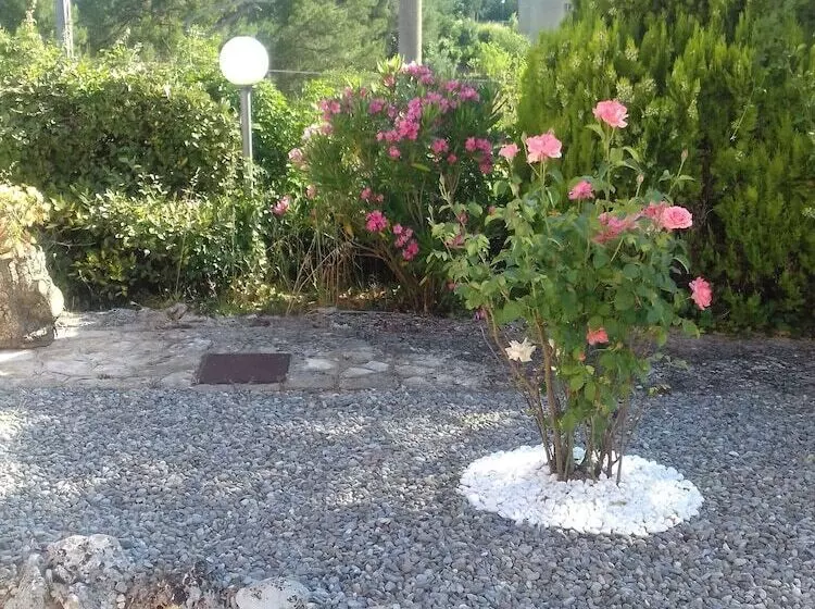 Il Tulipano Verde B&b