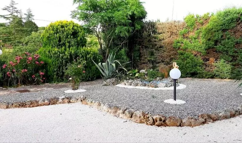 Il Tulipano Verde B&b