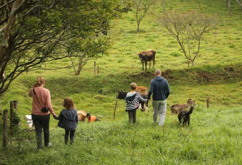 پانسیون Green Hostal Popayan