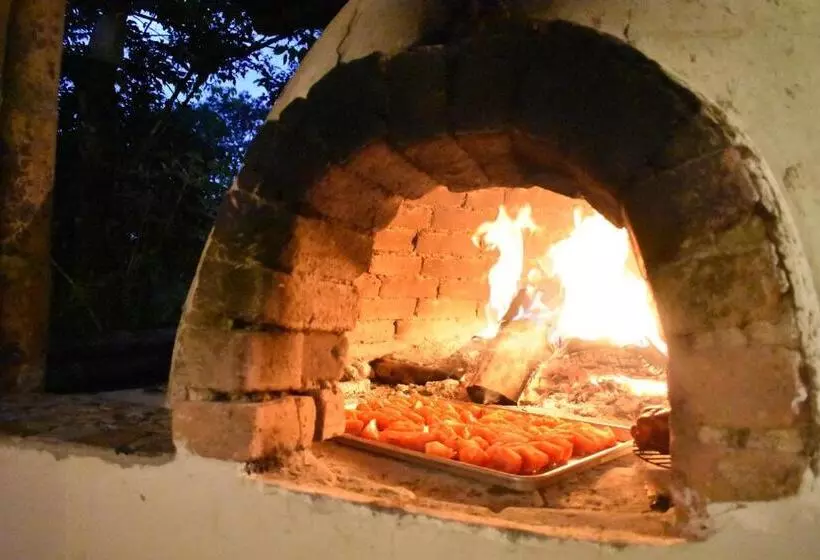 ペンション Green Hostal Popayan