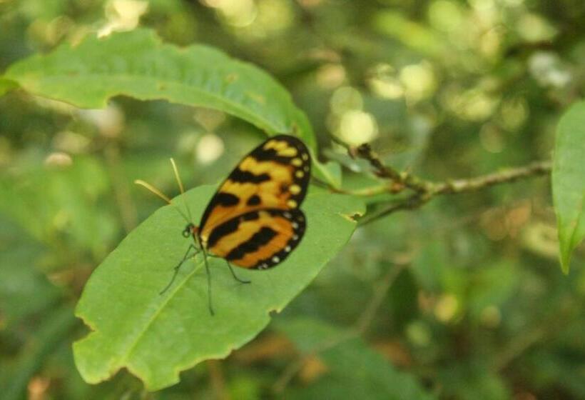 پانسیون Green Hostal Popayan