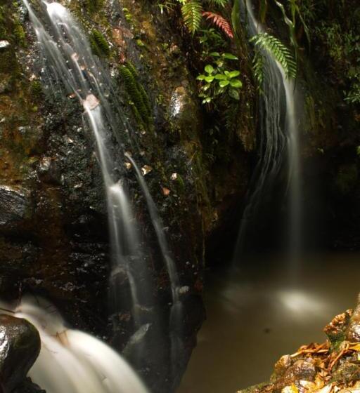 پانسیون Green Hostal Popayan