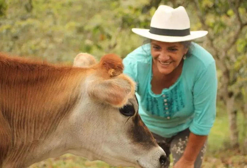 ペンション Green Hostal Popayan