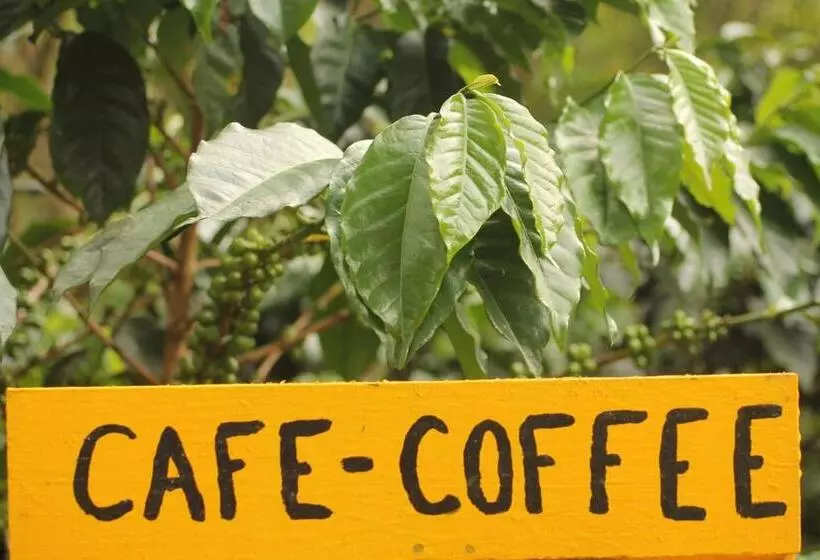 ペンション Green Hostal Popayan