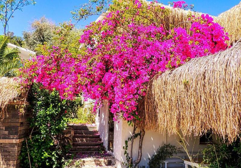 בית מלון כפרי Goya Suits