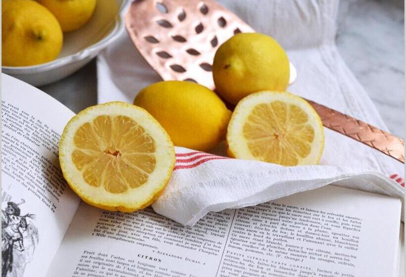 פנסיון Villa Edo