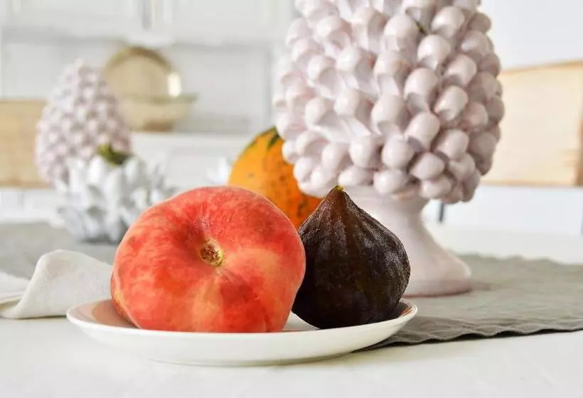 پانسیون Villa Edo