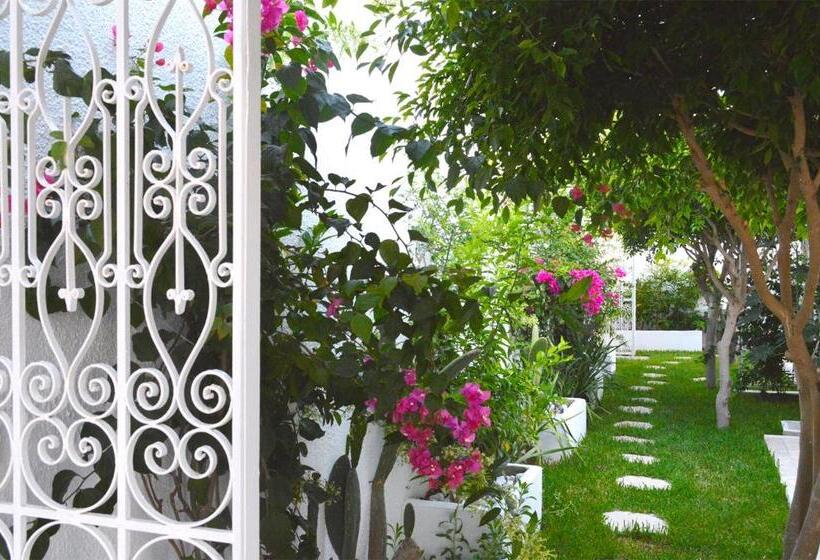 פנסיון Villa Edo