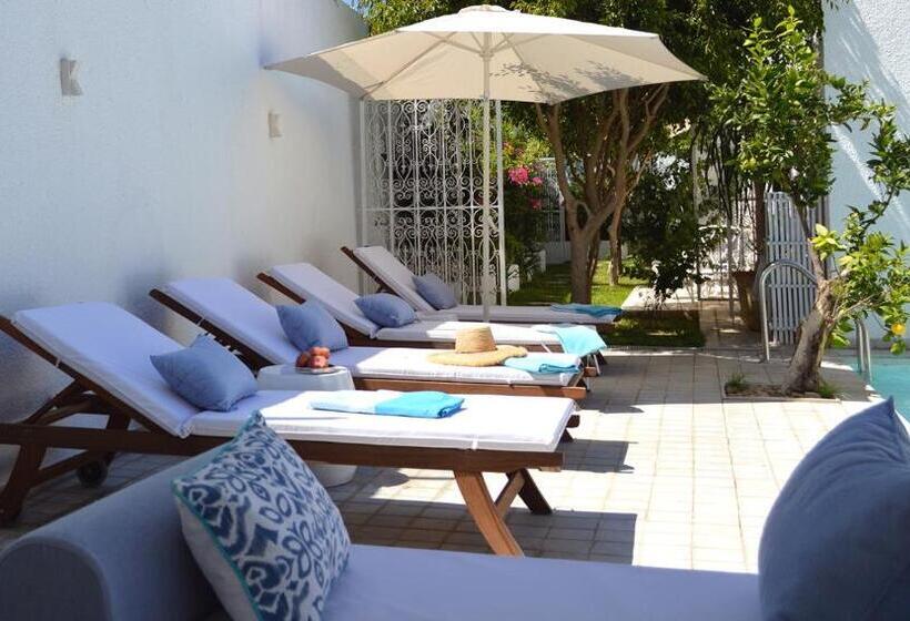 פנסיון Villa Edo