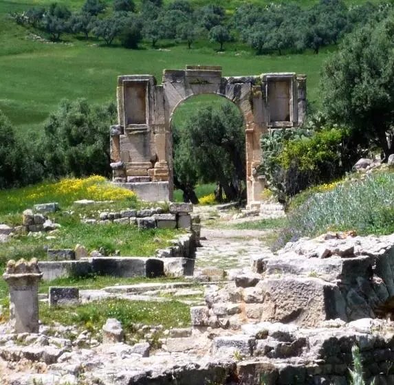 پانسیون Villa Edo