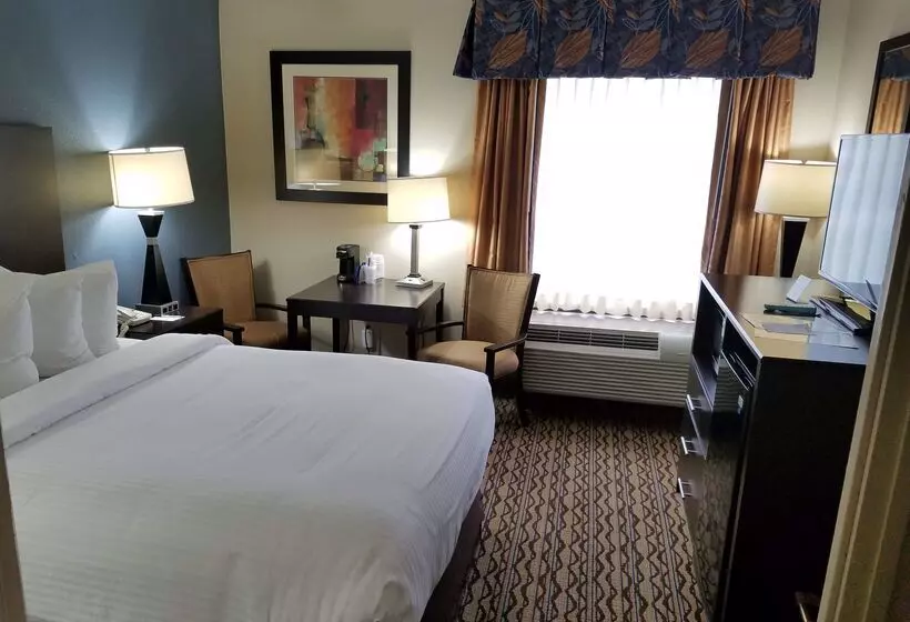 酒店 Best Western Inn Florence