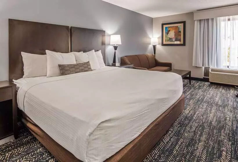 酒店 Best Western Inn Florence