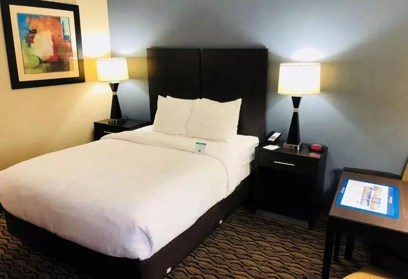 酒店 Best Western Inn Florence