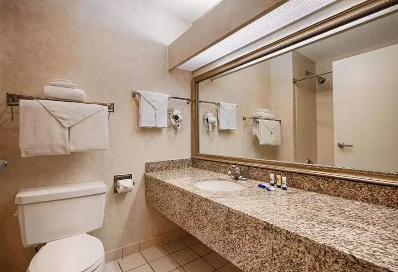 Отель Best Western Marble Falls Inn