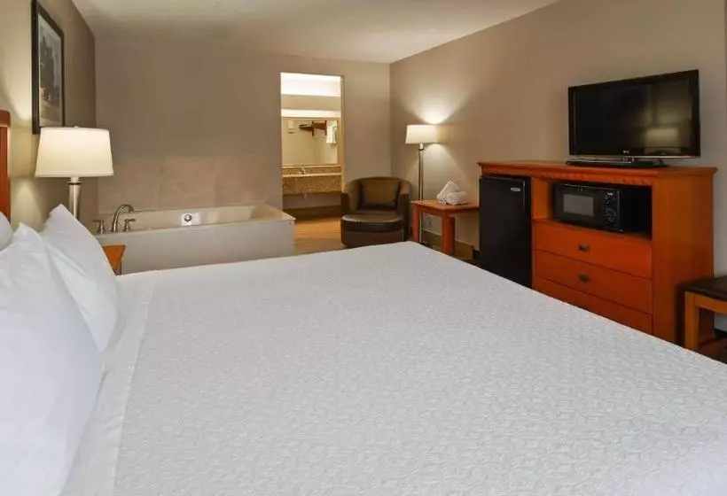 Отель Best Western Marble Falls Inn