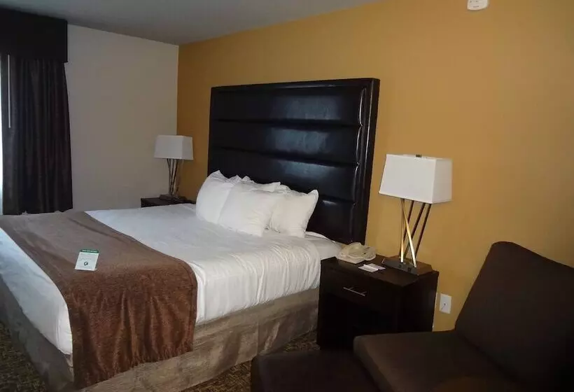 فندق Best Western Oak Meadows Inn