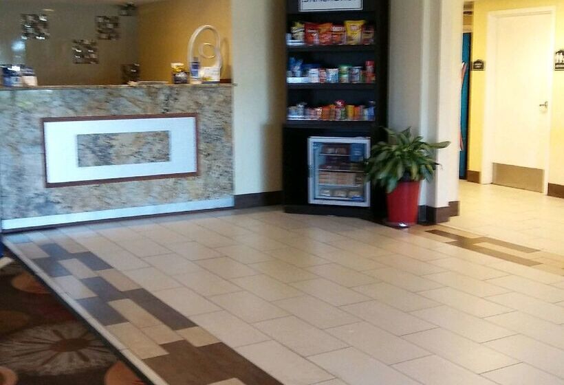 酒店 Best Western Of Clewiston