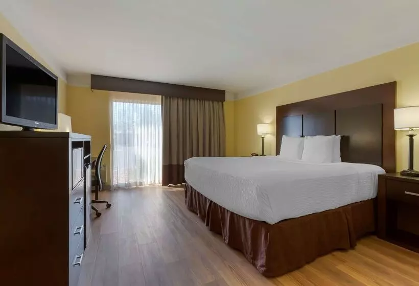 ホテル Best Western Phoenix Goodyear Inn