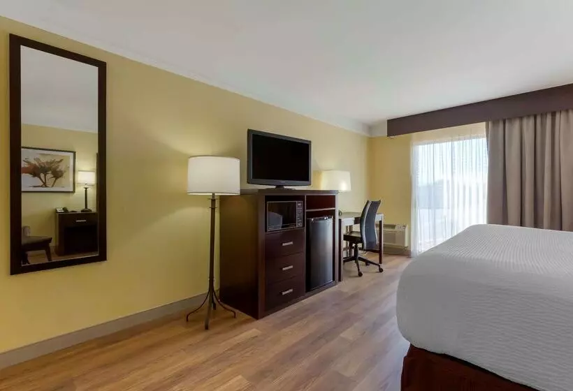 ホテル Best Western Phoenix Goodyear Inn