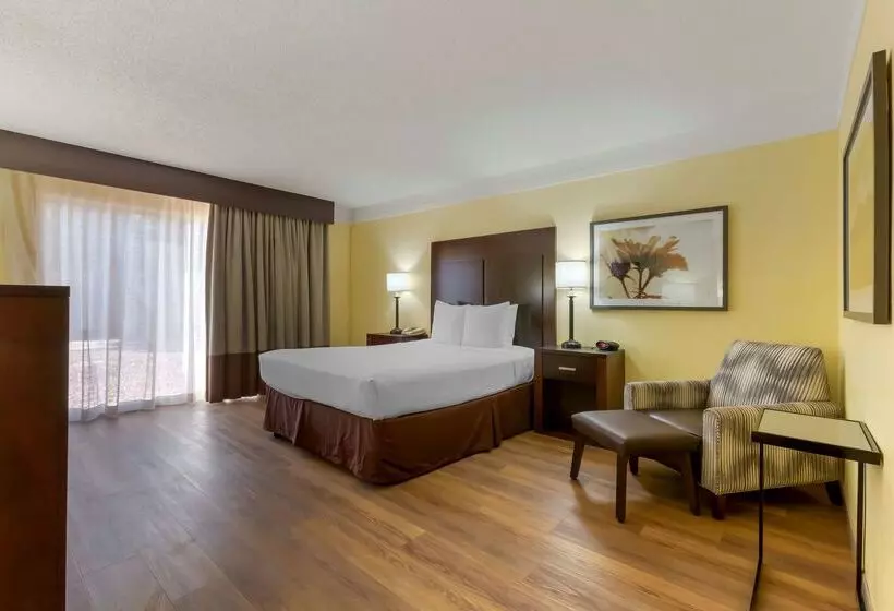 ホテル Best Western Phoenix Goodyear Inn