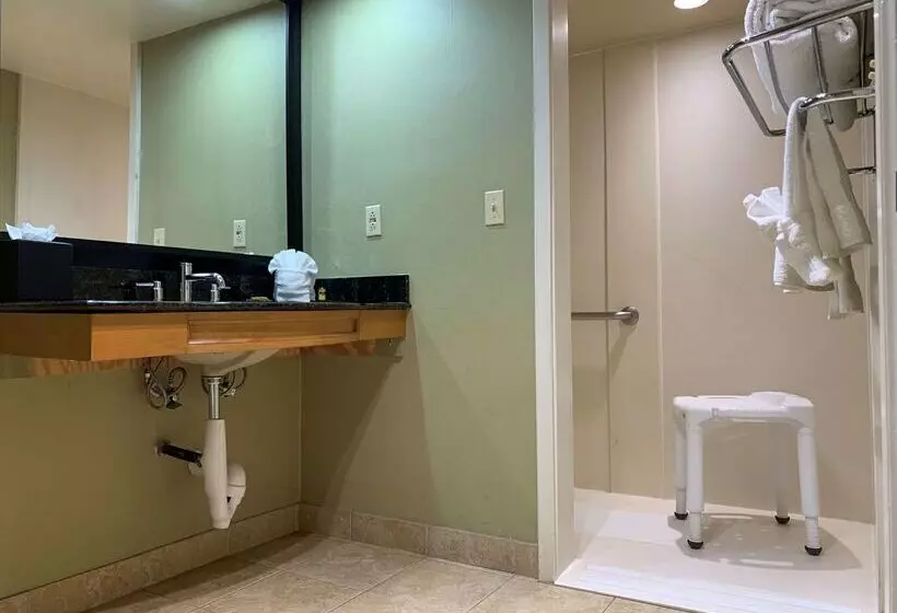 호텔 Best Western Plus Las Brisas