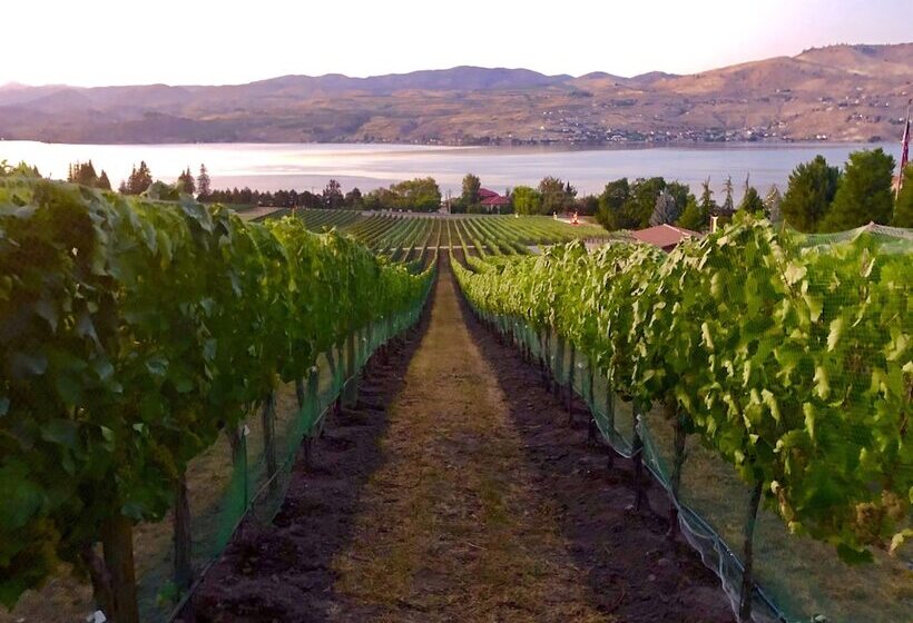 Szálloda Lakeside Lodge And Suites